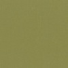 RAL 6013 Verde canna