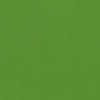 RAL 6017 Verde maggio