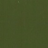 RAL 6020 Verde cromo