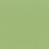 RAL 6021 Verde pallido