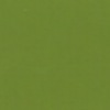 RAL 6025 Verde felce