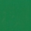 RAL 6029 Verde menta