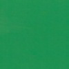 RAL 6032 Verde segnale