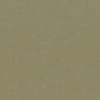 RAL 7003 Grigio muschio