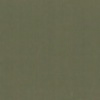 RAL 7009 Grigio verdastro