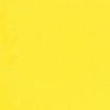 RAL 1018 Giallo Zinco