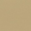 RAL 1019 Beige Grigiastro