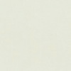 RAL 9018 Bianco papiro