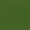 RAL 6002 Verde fragola