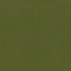RAL 6003 Verde oliva
