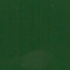 RAL 6005 Verde muschio