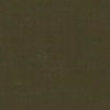 RAL 6006 Oliva grigiastro