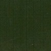RAL 6009 Verde abete