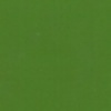 RAL 6010 Verde erba