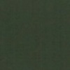 RAL 6012 Verde nerastro